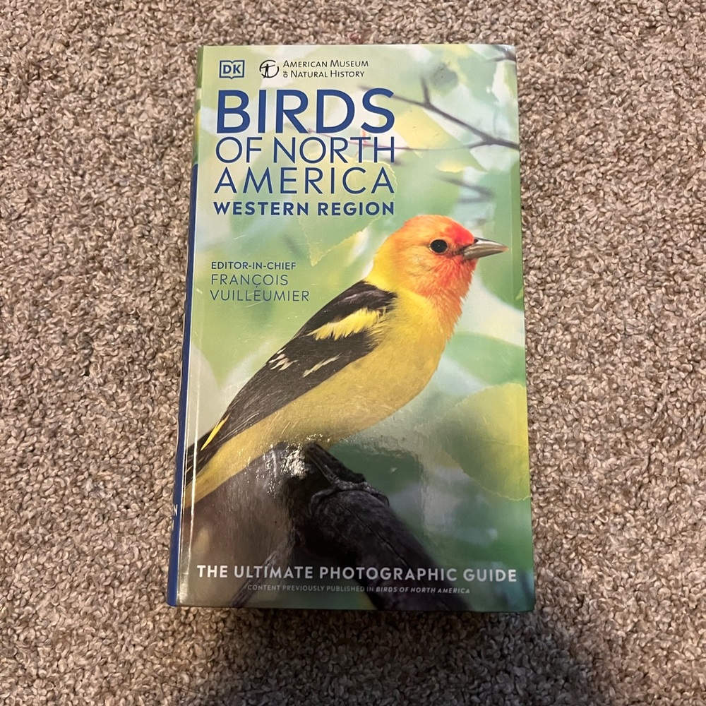 Birds Of America